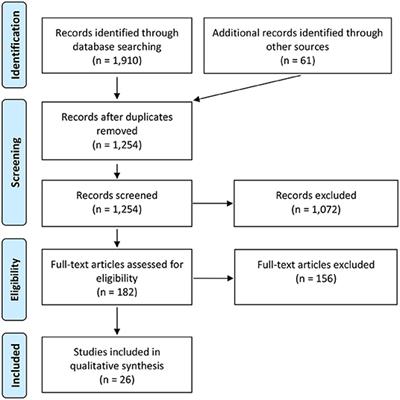 A Systematic Review of Reviews of Correctional Mental Health Services Using the STAIR Framework